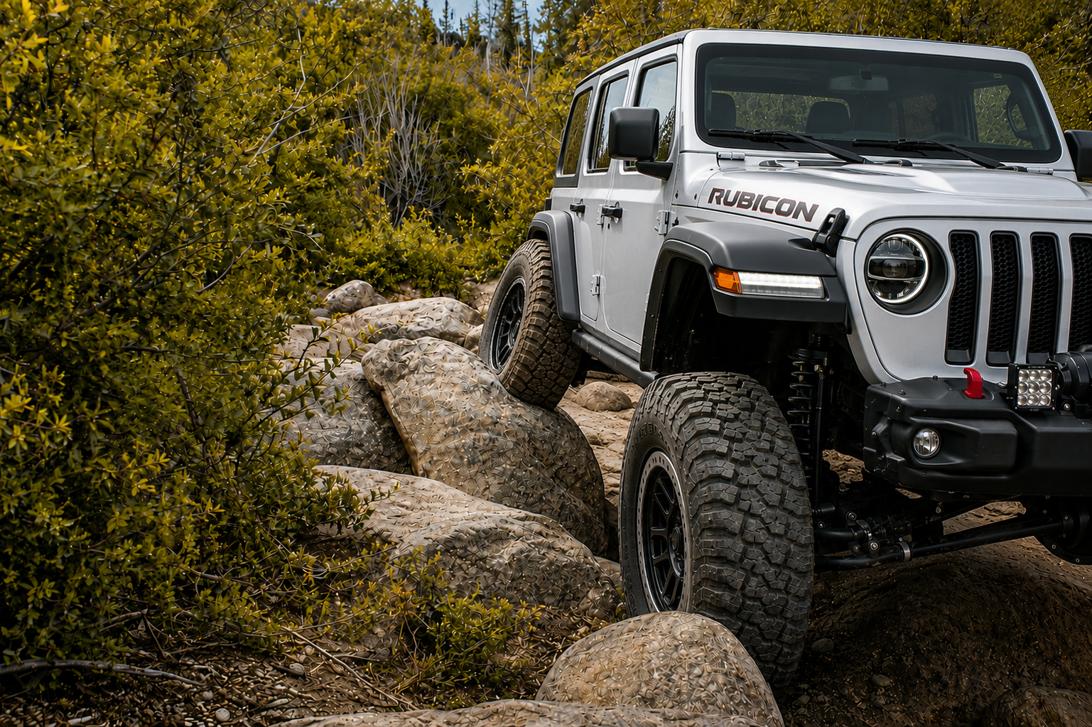 Shop All