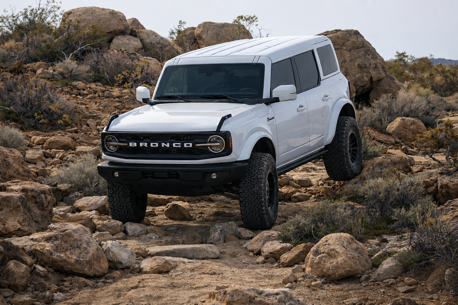 Become a Renegade Dealer