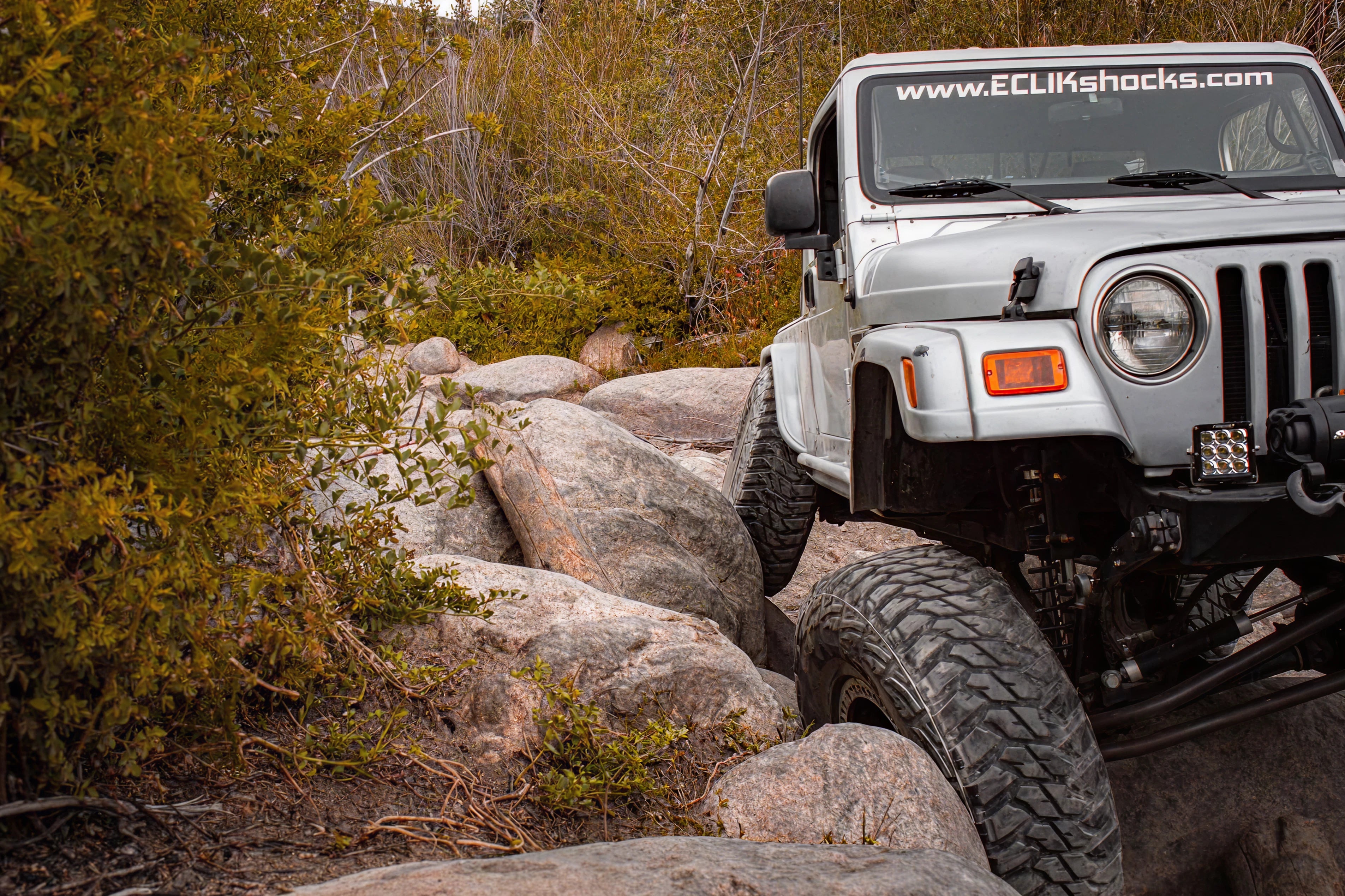 Stock Renegade in your shop.